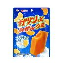 ガツン、とみかんグミ