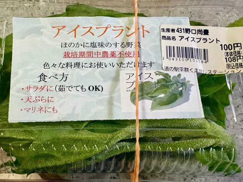 アイスプラント